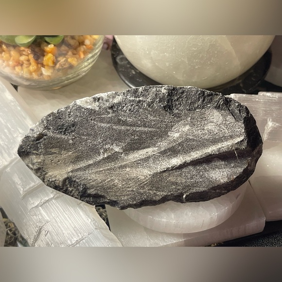 Authentic orthoceras fossils preserved in a rock matrix - Picture 10 of 12